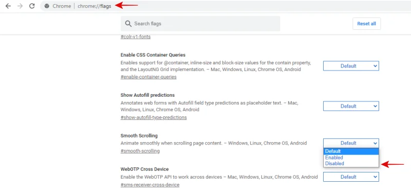วิธีแก้ปัญหาเมาส์เลื่อนไม่ค่อยไปใน Google Chrome